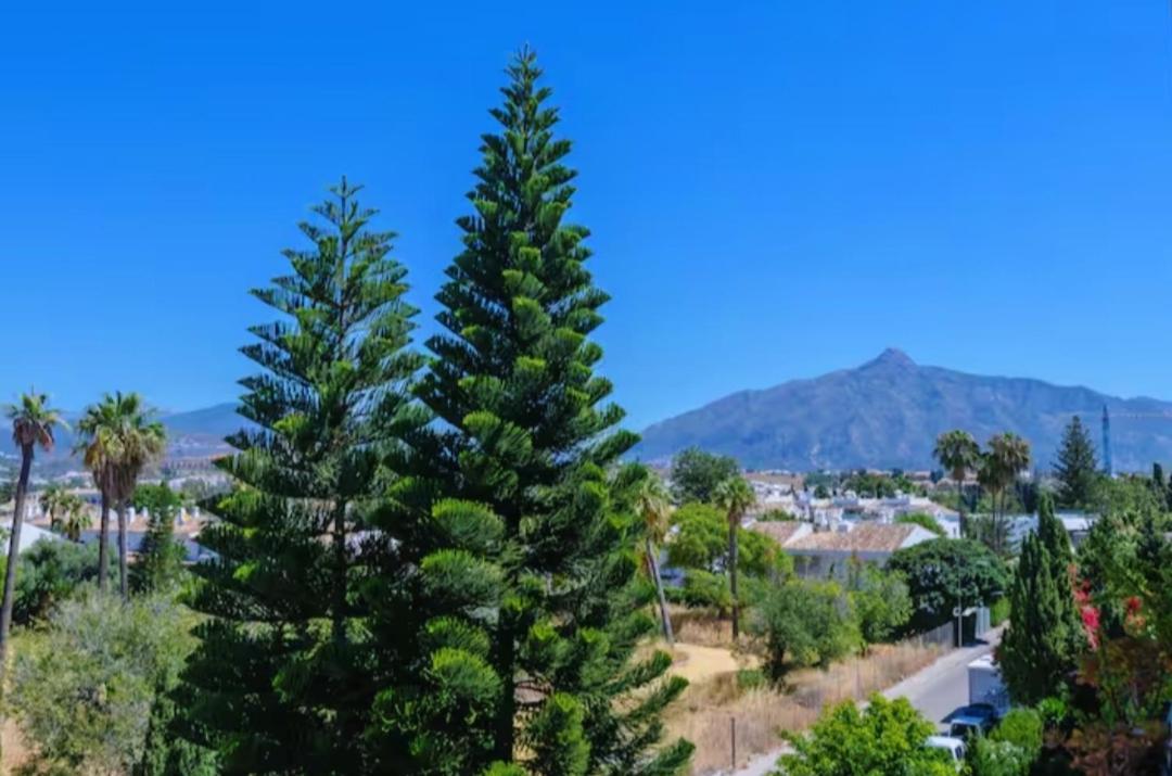 Apartment Junto Paseo Maritimo Piscinas Jardines Y Parking *